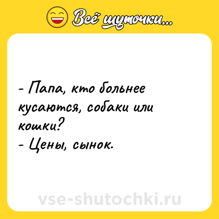 Шутка: - Папа, кто больнее кусаются, собаки или кошки?<br>- Цены, сынок.