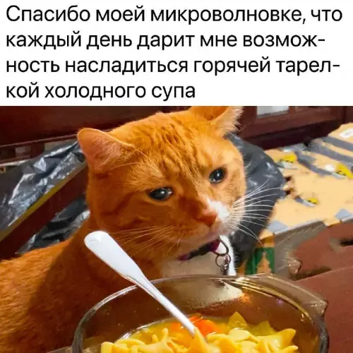 Смешная картинка №697557