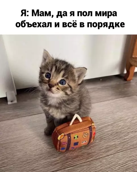 Смешная картинка №541586