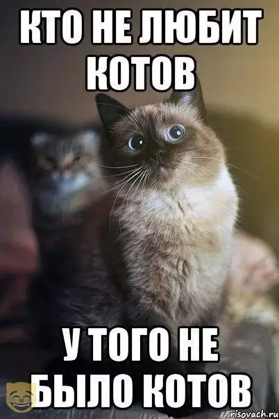 Смешная картинка №354445 #приколы #картинки #мемы ?