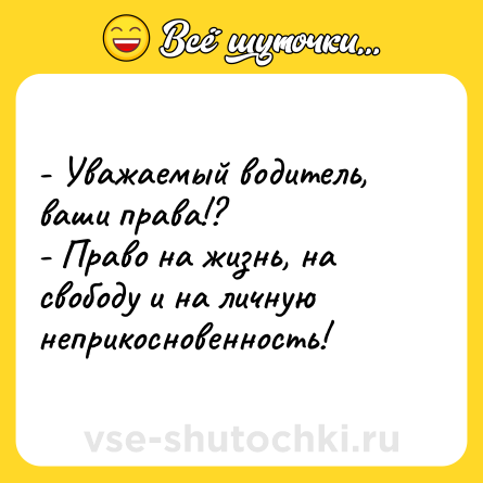 Шутка: - Уважаемый водитель, ваши права!?<br>- Право на жизнь, на свободу и на личную неприкосновенность!