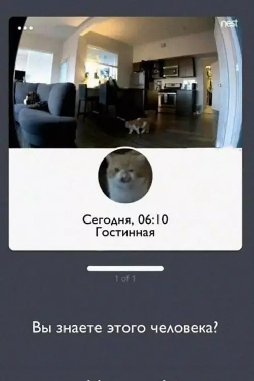 Кто этот таинственный тип? 🤔🕵️‍♂️ - Сегодня, 06:10 Гостинная. Вы знаете этого человека?