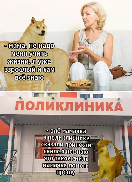 Смешная картинка №509355 Цените мать