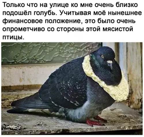Смешная картинка №515544 Очень жизненная ситуация