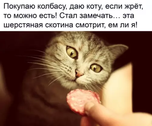 Смешная картинка №334431
