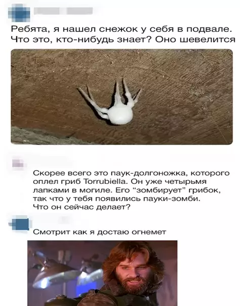 Смешная картинка №315715