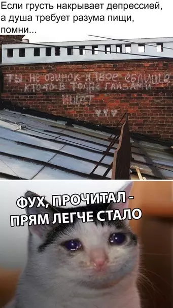 Смешная картинка №313014