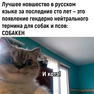 Смешная картинка №687688 Boт дa