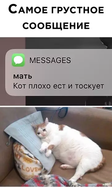 Смешная картинка №525186