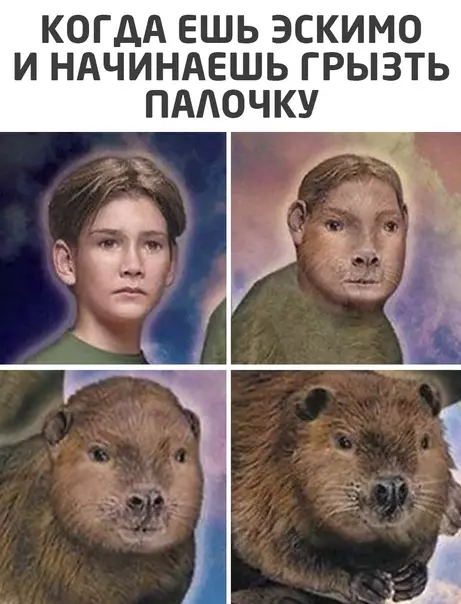 Смешная картинка №572790