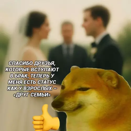 Смешная картинка №767106