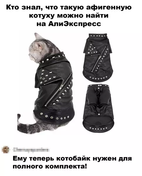 Смешная картинка №498582 Просто класс!