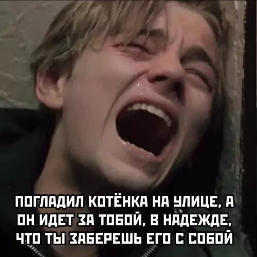 Милота, которая ломает психику 😿💔 - ПОГЛАДИЛ КОТЁНКА НА УЛИЦЕ, А ОН ИДЕТ ЗА ТОБОЙ, В