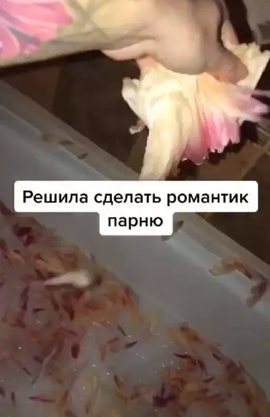 Смешная картинка №547987 Романтика