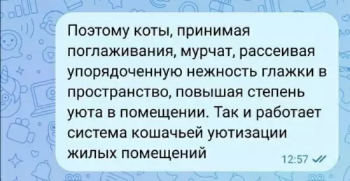 продолжение Смешная картинка №803990