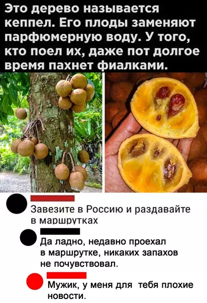 Смешная картинка №542354 Oчeнь нyжнaя штyкa