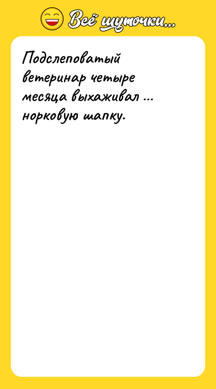 Подслеповатый ветеринар четыре месяца выхаживал норковую шапку.