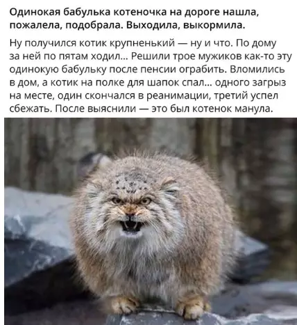Смешная картинка №378132 Лyчший зaщитник.