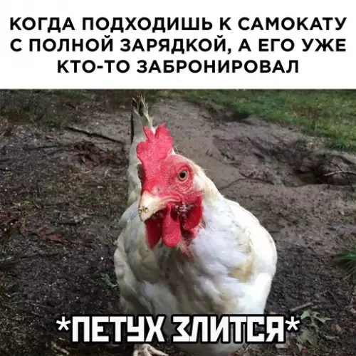 Смешная картинка №694712