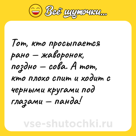 Шутка: Тот, кто просыпается рано — жаворонок, поздно — сова. А тот, кто плохо спит и ходит с черными кругами под глазами — панда!