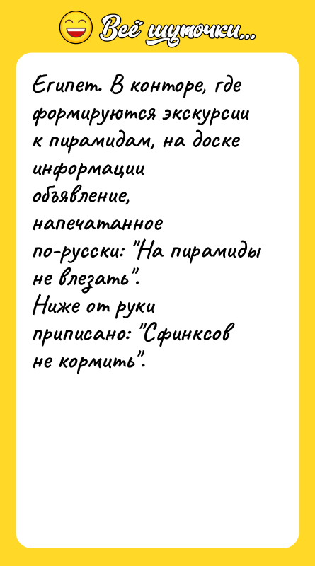 Египет. В конторе, где формируются экскурсии к пирамидам, на доске