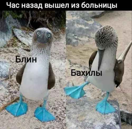 Смешная картинка №688421