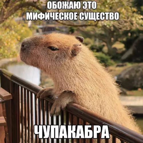 Смешная картинка №743170