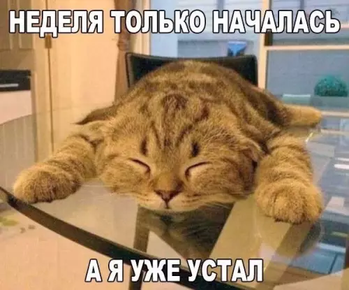 Смешная картинка №185035