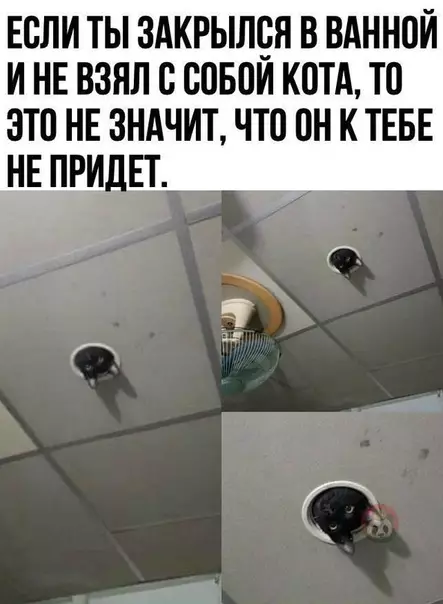 Смешная картинка №511746 "Моешься там, а мог бы меня покормить!" ?