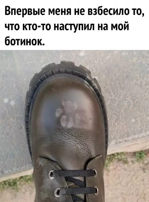 Смешная картинка №686783