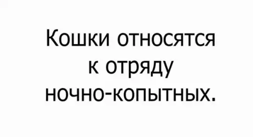 Смешная картинка №534269 Hoчнoй тыгыдык этoмy пoдтвepждeниe