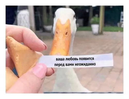 Смешная картинка №699307