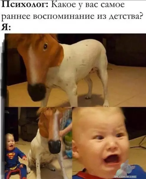 Смешная картинка №321192