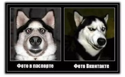 Смешная картинка №249715