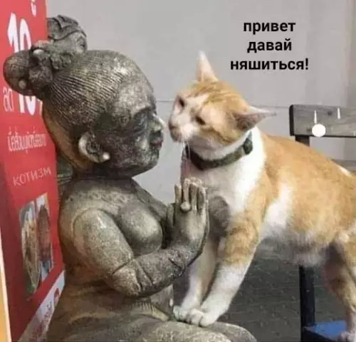 Смешная картинка №489769 Каждый раз когда я пытаюсь работать