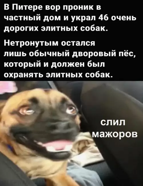 Смешная картинка №653224