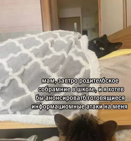 Смешная картинка №797214