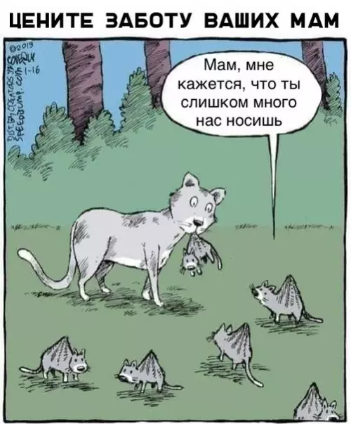 Смешная картинка №339449 животные