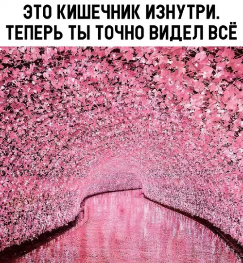 Смешная картинка №316681