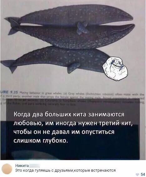 Смешная картинка №275807