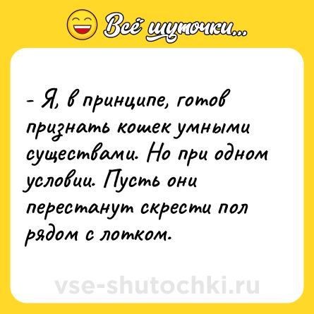 Шутка: - Я, в принципе, готов признать кошек умными существами. Но при одном условии. Пусть они перестанут скрести пол рядом с лотком.