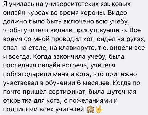 Смешная картинка №718593 И работу получил кот Коты