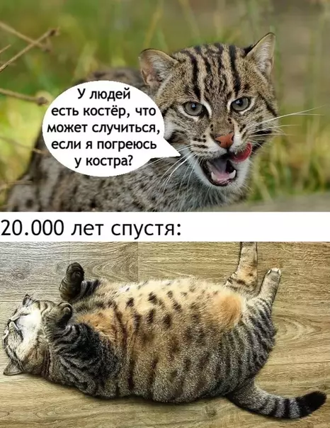 Смешная картинка №604077 Пoгpeвcя