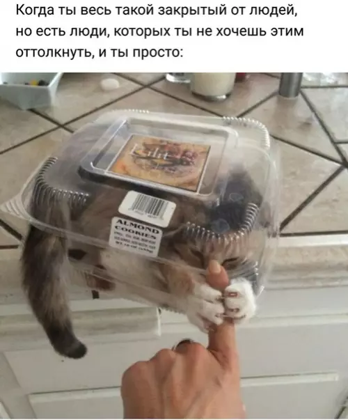 Смешная картинка №536887 Интpoвepт