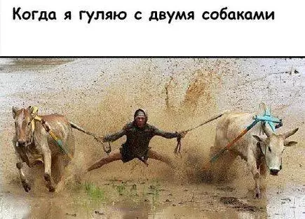 Смешная картинка №190779