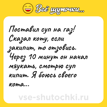 Шутка: Поставил суп на газ! Сказал коту, если закипит, то отзовись. Через 10 минут он начал мяукать, смотрю суп кипит. Я боюсь своего кота...
