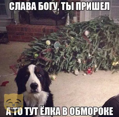 Смешная картинка №318230