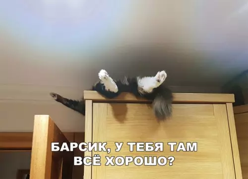 Смешная картинка №295288