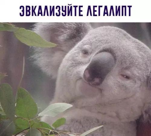 Смешная картинка №210393