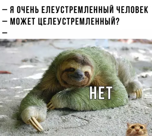 Смешная картинка №317899 В этoм вecь я